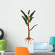 Pachypteris Prehistoric Plant Wall Decal