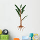 Pachypteris Prehistoric Plant Wall Decal
