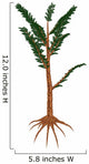 Pachypteris Prehistoric Plant Wall Decal
