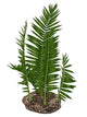 Nipa Burtinii Prehistoric Plant Wall Decal