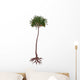 Lepidodendron Prehistoric Tree Wall Decal