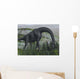 Brachiosaurus Dinosaur Eating Fern Wall Decal