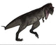 Tyrannotitan Dinosaur Roaring White Wall Decal Design 1