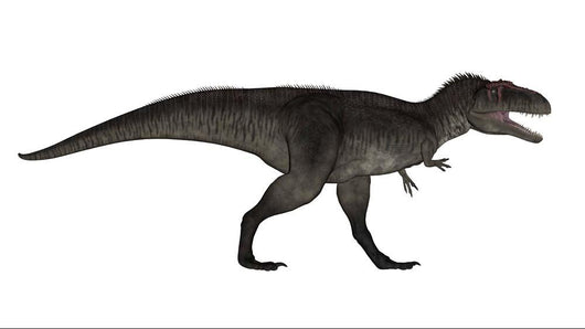 Tyrannotitan Dinosaur White Wall Decal Design 1