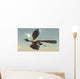 Archaeopteryx Bird Flying Sky Wall Decal