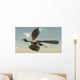 Archaeopteryx Bird Flying Sky Wall Decal