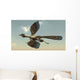 Archaeopteryx Bird Flying Sky Wall Decal