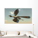 Archaeopteryx Bird Flying Sky Wall Decal