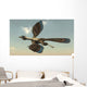 Archaeopteryx Bird Flying Sky Wall Decal