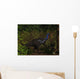 Camptosaurus Dinosaur Eating Wollemia Wall Decal