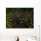 Camptosaurus Dinosaur Eating Wollemia Wall Decal