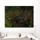 Camptosaurus Dinosaur Eating Wollemia Wall Decal