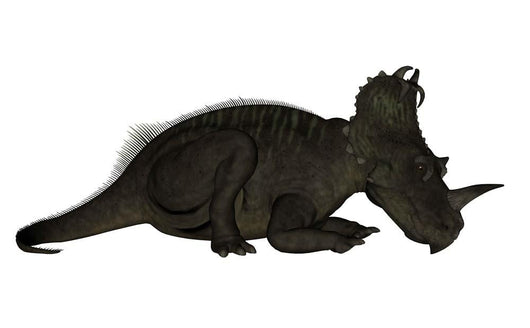 Centrosaurus Dinosaur Resting White Wall Decal