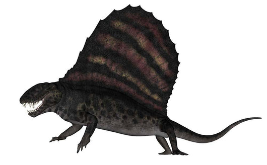 Dimetrodon Dinosaur 3D Render Wall Decal Design 3