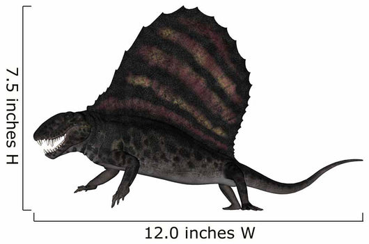 Dimetrodon Dinosaur 3D Render Wall Decal Design 3