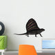 Dimetrodon Dinosaur 3D Render Wall Decal Design 1