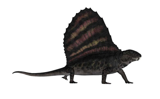 Dimetrodon Dinosaur 3D Render Wall Decal Design 1