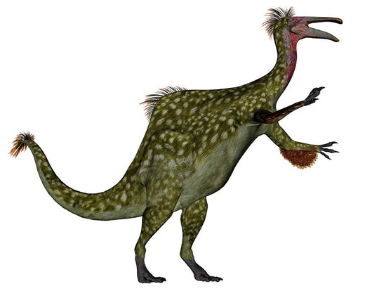 Deinocheirus Dinosaur White Wall Decal Design 3