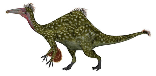 Deinocheirus Dinosaur White Wall Decal Design 2