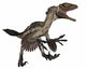 Deinonychus Dinosaur Roaring White Wall Decal