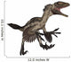 Deinonychus Dinosaur Roaring White Wall Decal