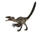 Deinonychus Dinosaur White Wall Decal Design 4