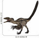 Deinonychus Dinosaur White Wall Decal Design 4