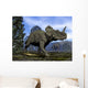 Centrosaurus Dinosaurs Walking amongst Wall Decal