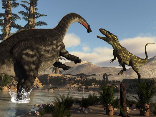 Torvosaurus Dinosaur Fighting Apatosaurus Wall Decal