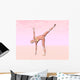 Female Musculature Performing Half Wall Decal