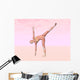 Female Musculature Performing Half Wall Decal