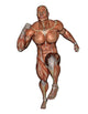 Muscular Man Running Wall Decal Design 2