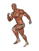 Muscular Man Running Wall Decal Design 1