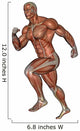 Muscular Man Running Wall Decal Design 1