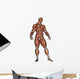 Muscular Man Standing Wall Decal
