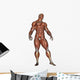 Muscular Man Standing Wall Decal
