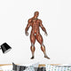 Muscular Man Standing Wall Decal