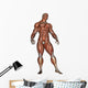 Muscular Man Standing Wall Decal