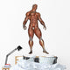 Muscular Man Standing Wall Decal