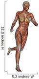 Muscular Woman Running Wall Decal