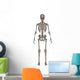 Rear Human Skeleton Wall Decal