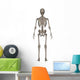 Rear Human Skeleton Wall Decal