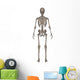 Rear Human Skeleton Wall Decal