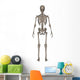 Rear Human Skeleton Wall Decal