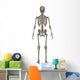 Rear Human Skeleton Wall Decal