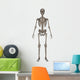 Front Human Skeleton Wall Decal