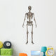 Front Human Skeleton Wall Decal