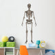 Front Human Skeleton Wall Decal