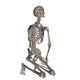 Human Skeleton Praying His Wall Decal