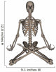 Front Human Skeleton Meditation Wall Decal Design 1